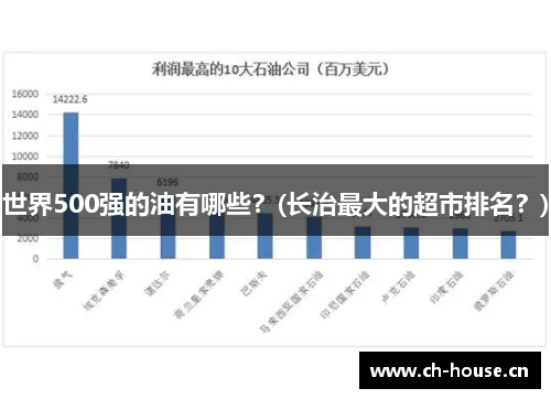 世界500强的油有哪些？(长治最大的超市排名？)